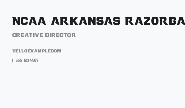 NCAA Arkansas Razorback 2014 Business Card