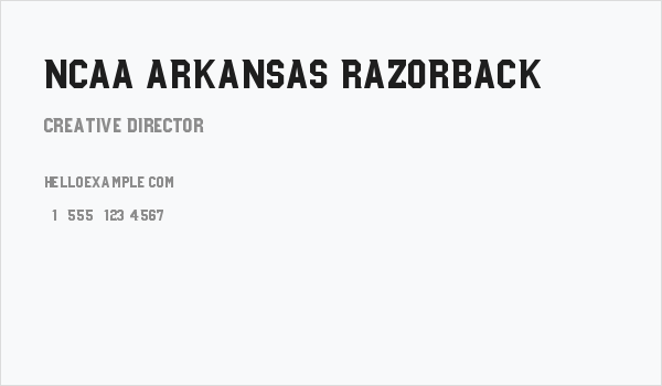 NCAA Arkansas Razorback Business Card