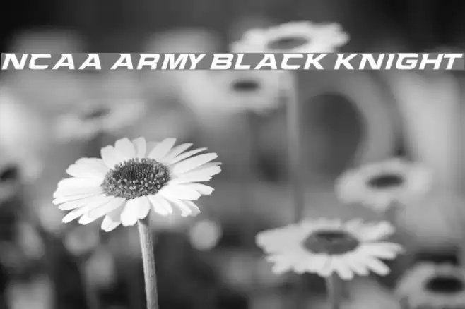 NCAA Army Black Knight Font examples