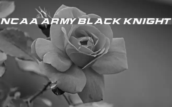 NCAA Army Black Knight Font examples