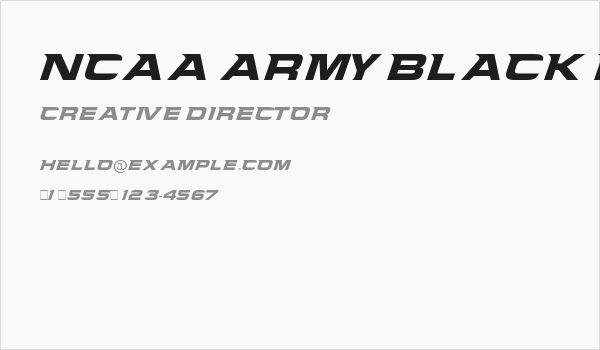NCAA Army Black Knight Business Card