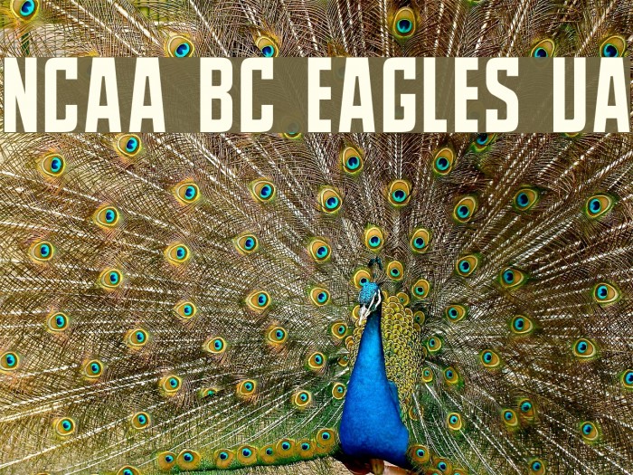 NCAA BC Eagles UA Font examples