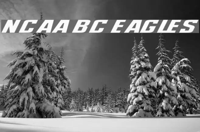 NCAA BC Eagles Example 2