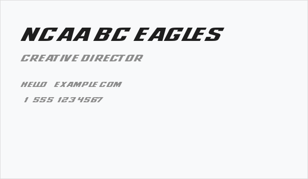 NCAA BC Eagles Business Card