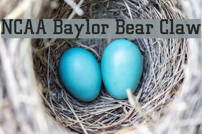 NCAA Baylor Bear Claw Font examples