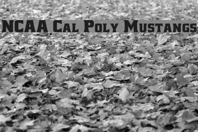 NCAA Cal Poly Mustangs Schriftart examples