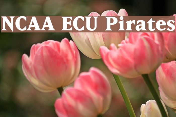 NCAA ECU Pirates Font examples