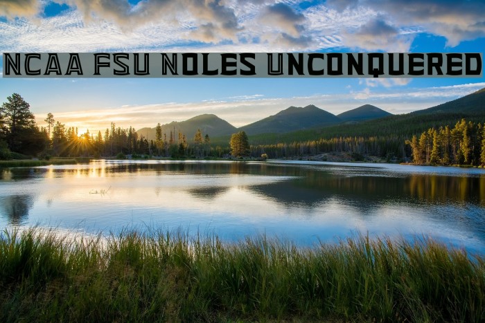 NCAA FSU Noles Unconquered Example 1