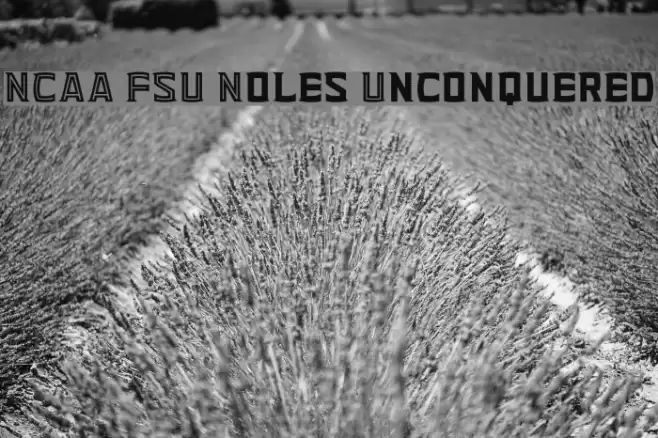 NCAA FSU Noles Unconquered Font examples