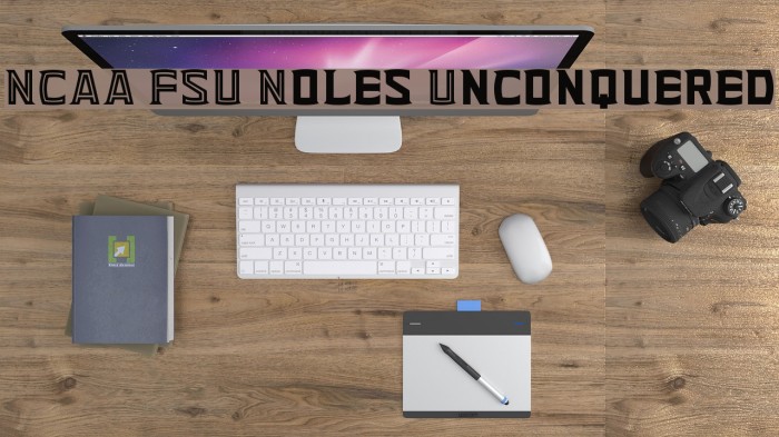 NCAA FSU Noles Unconquered Example 3