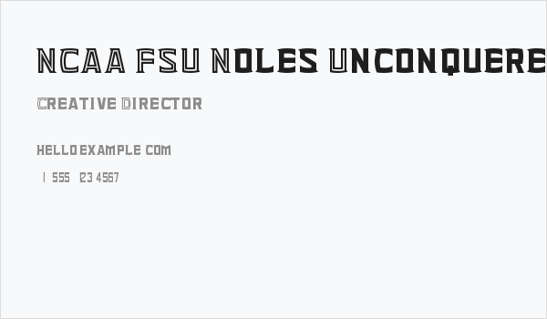 NCAA FSU Noles Unconquered Business Card