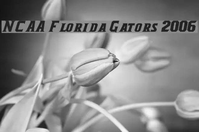 NCAA Florida Gators 2006 Font examples