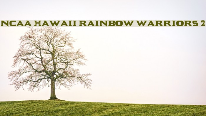 NCAA Hawaii Rainbow Warriors 2 Example 1