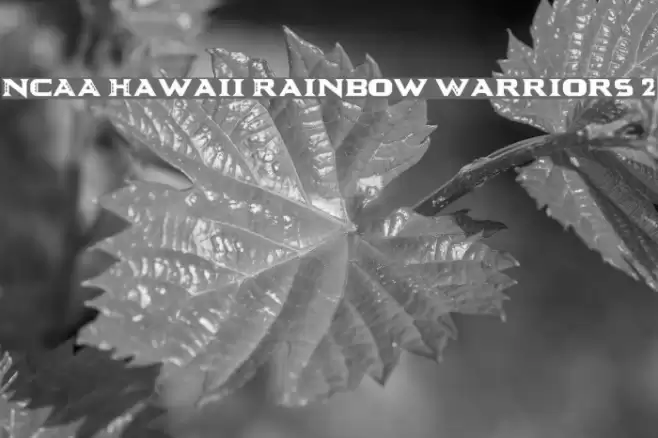 NCAA Hawaii Rainbow Warriors 2 Font examples