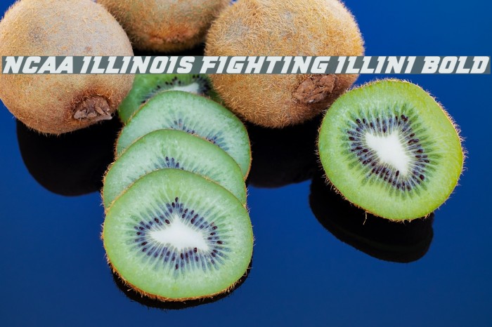 NCAA Illinois Fighting Illini Bold Example 2