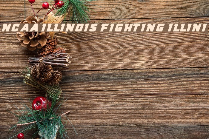 NCAA Illinois Fighting Illini Font examples