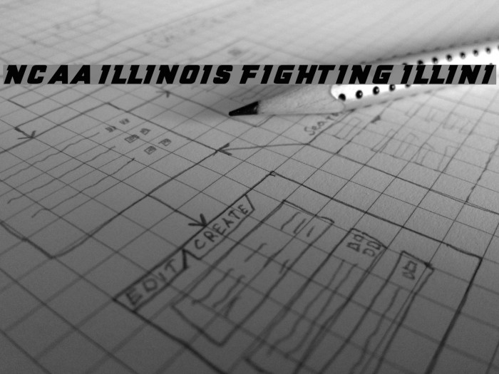 NCAA Illinois Fighting Illini Desktop Mat v.2 80X30cm