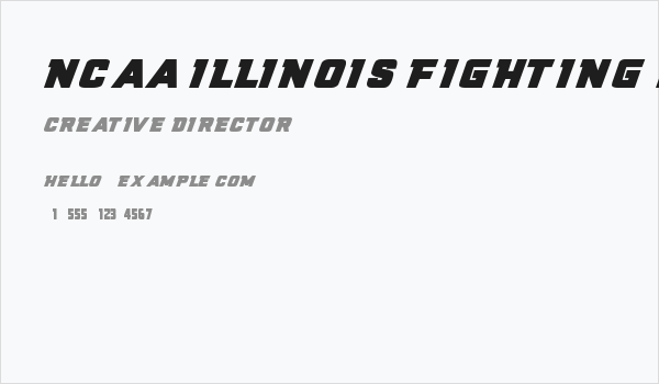 NCAA Illinois Fighting Illini Business Card
