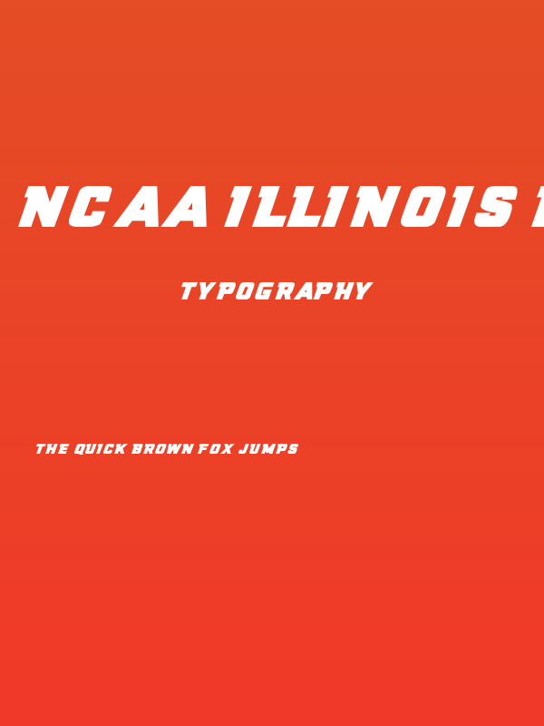NCAA Illinois Fighting Illini Poster