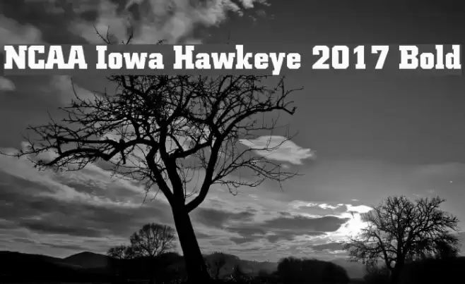 NCAA Iowa Hawkeye 2017 Bold Font examples