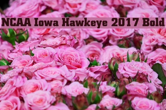 NCAA Iowa Hawkeye 2017 Bold Font examples