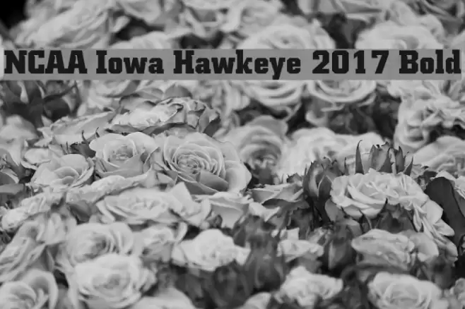 NCAA Iowa Hawkeye 2017 Bold Font examples