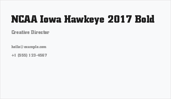 NCAA Iowa Hawkeye 2017 Bold Business Card
