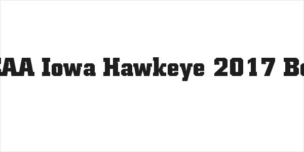NCAA Iowa Hawkeye 2017 Bold Logo