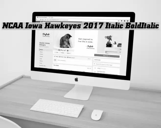 NCAA Iowa Hawkeyes 2017 Italic BoldItalic Polices examples