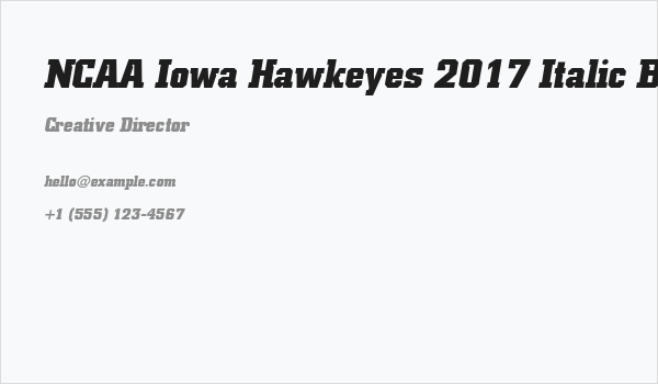 NCAA Iowa Hawkeyes 2017 Italic BoldItalic Business Card
