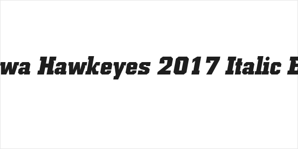 NCAA Iowa Hawkeyes 2017 Italic BoldItalic Logo