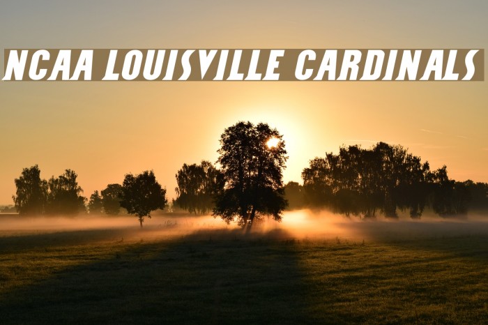 NCAA Louisville Cardinals Font examples