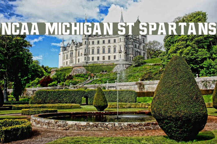NCAA Michigan St Spartans Font examples