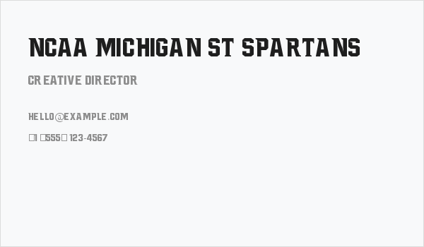 NCAA Michigan St Spartans Business Card