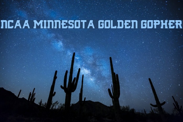 NCAA Minnesota Golden Gopher Example 1