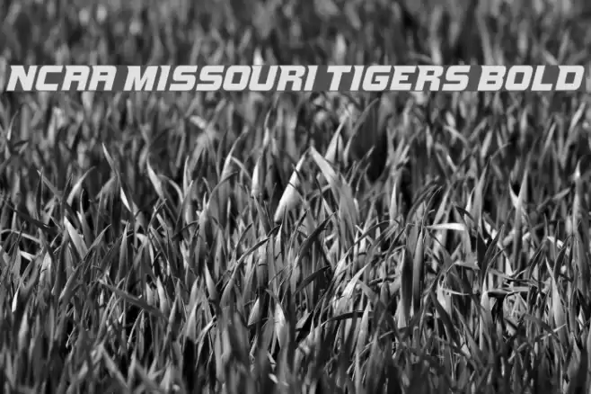NCAA Missouri Tigers Bold Font examples
