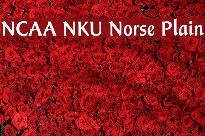 NCAA NKU Norse Plain Example 2