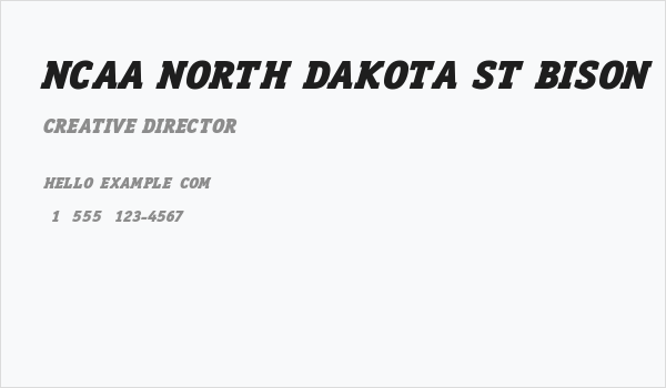 NCAA North Dakota St Bison Business Card
