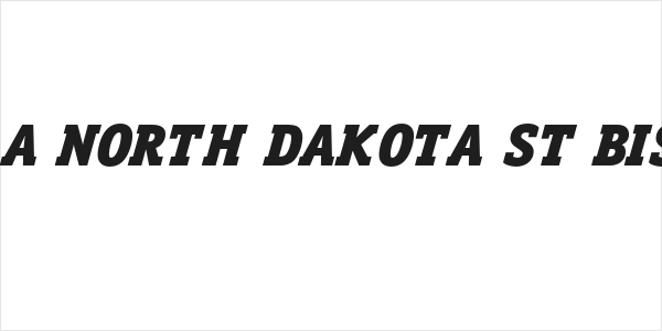 NCAA North Dakota St Bison Logo