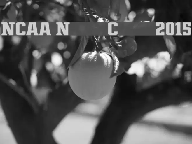 NCAA Northern Colorado 2015 Fuentes examples