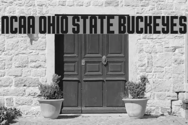 NCAA Ohio State Buckeyes Font examples