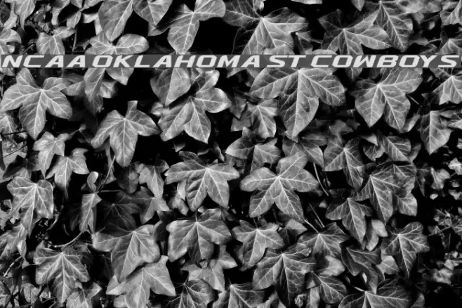 NCAA Oklahoma St Cowboys Font examples
