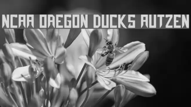 NCAA Oregon Ducks Autzen Fonte examples