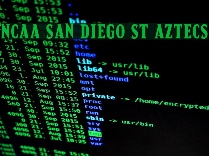 NCAA San Diego St Aztecs Font examples