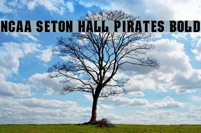 NCAA Seton Hall Pirates Bold Example 1