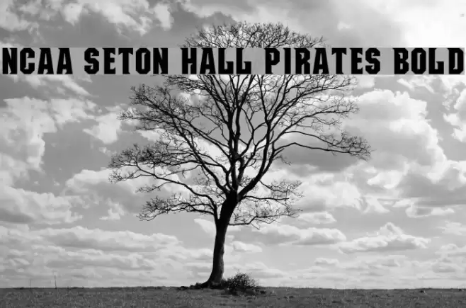 NCAA Seton Hall Pirates Bold Font examples