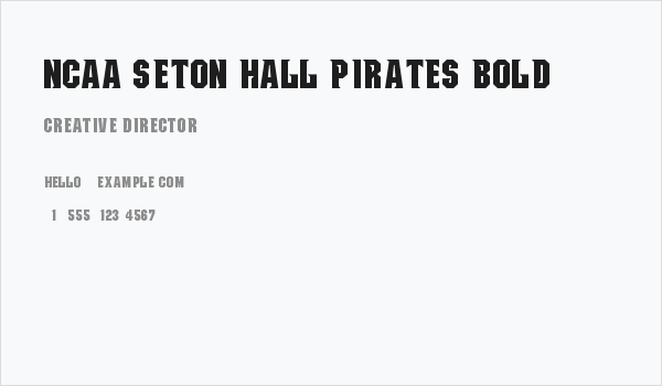 NCAA Seton Hall Pirates Bold Business Card