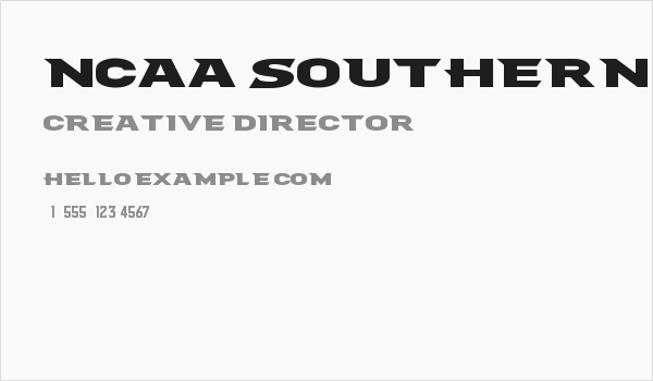NCAA Southern Miss 2 Business Card