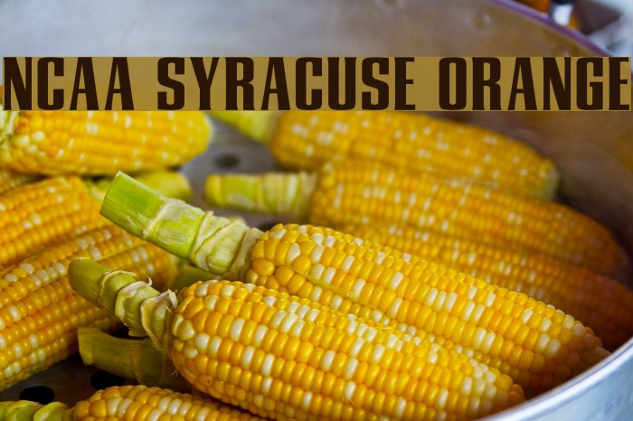 NCAA Syracuse Orange Font examples