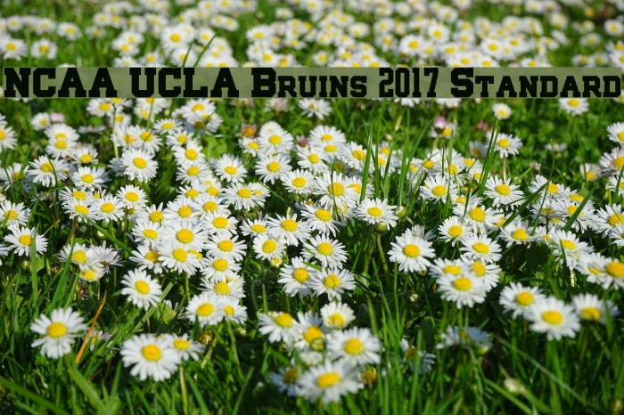 NCAA UCLA Bruins 2017 Standard Font examples